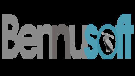 Bennusoft - software development company